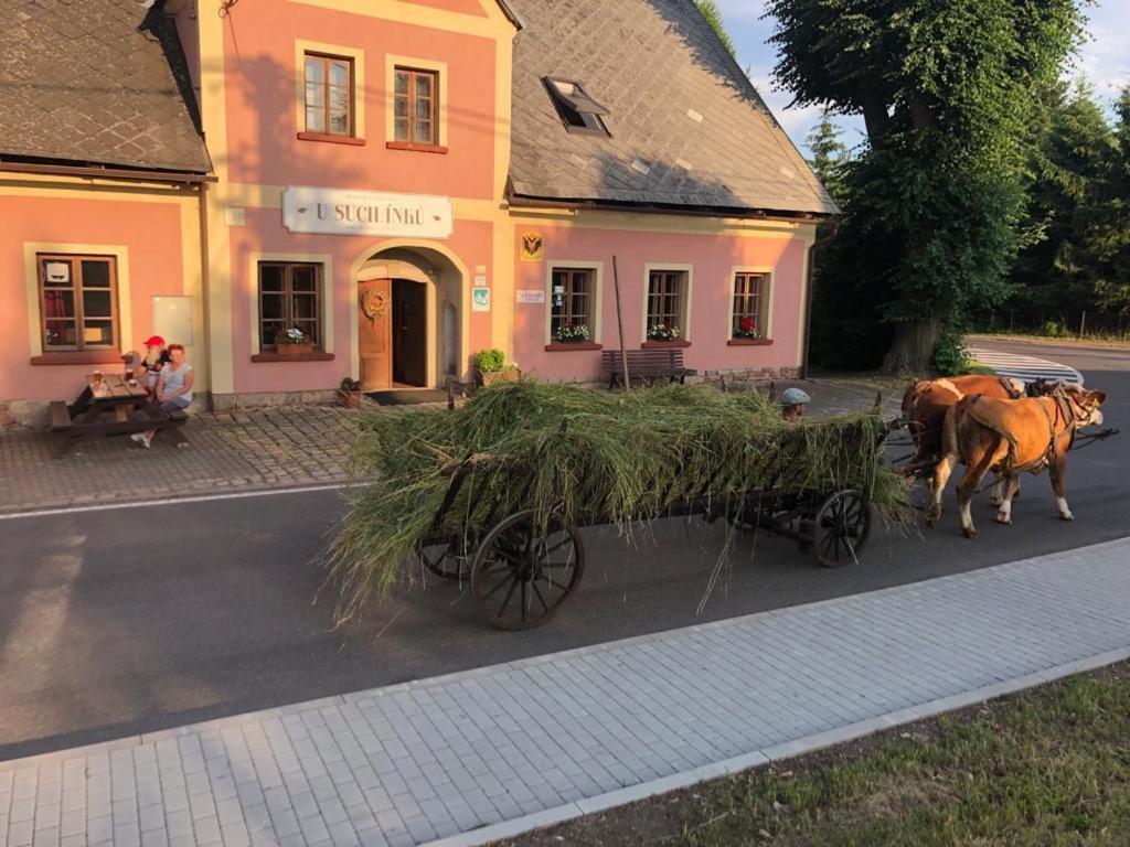 Penzion U Suchanku Mezimesti Exterior foto