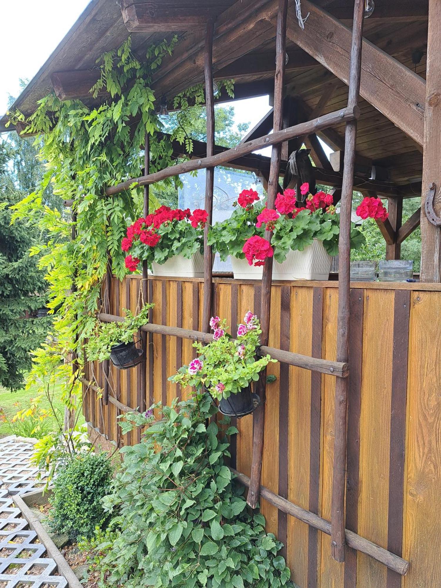 Penzion U Suchanku Mezimesti Exterior foto